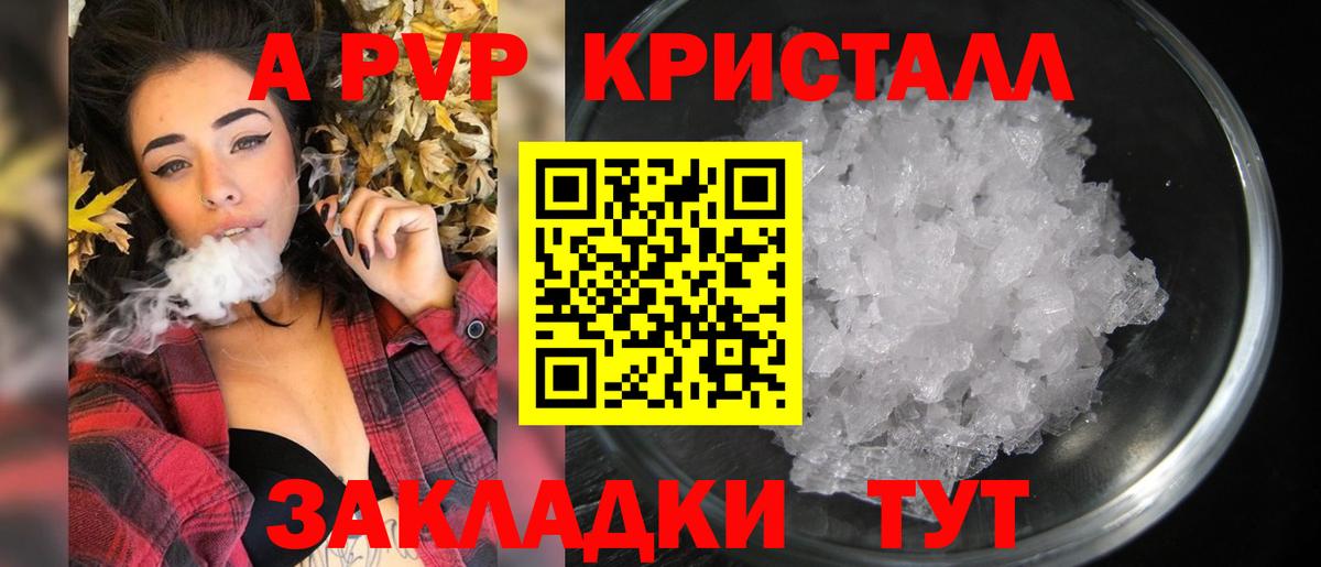 Альфа ПВП СК КРИС Кандалакша