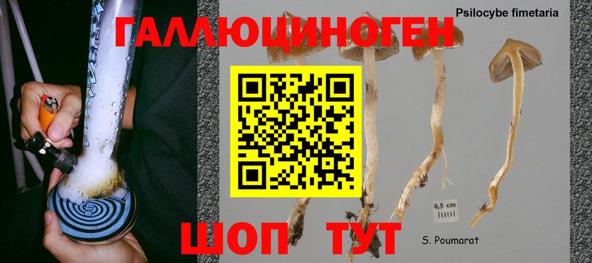 Кандалакша  Галлюциногенные грибы ЛСД  Вход с VPN  Галлюциногенные грибы прущие грибы 
